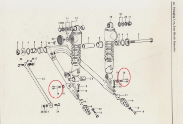 BOLT SHOCKS